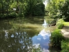3- Au bord de l'Yerres