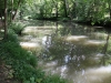 5- Au bord de l'Yerres
