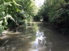 6- Au bord de l'Yerres